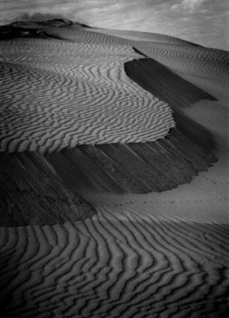 Dunescape