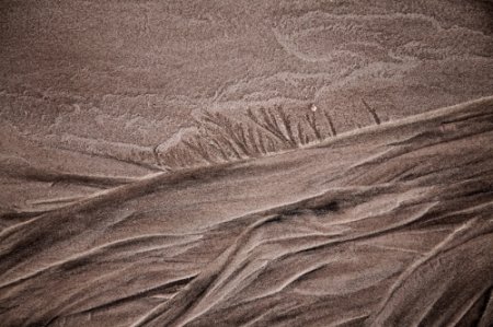 Sandscape