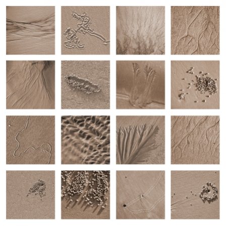 Stories in the Sand